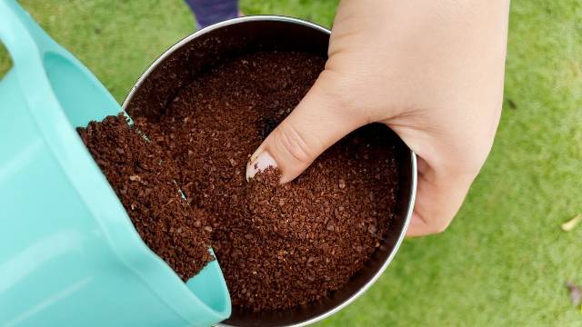 Pouring coarse coffee grounds into the Coleman 12-Cup Stainless Steel Percolator's filter basket.