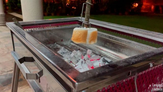 Here's a photo of me roasting 2 marshmallows downwards facing the fire with the Light my Fire GrandPa's FireFork. I'm testing to see whether they'll fall off.