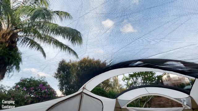 This is a picture of the ceiling or roof mesh of the Coleman WeatherMaster 10-Person Tent, with the rainfly removed.