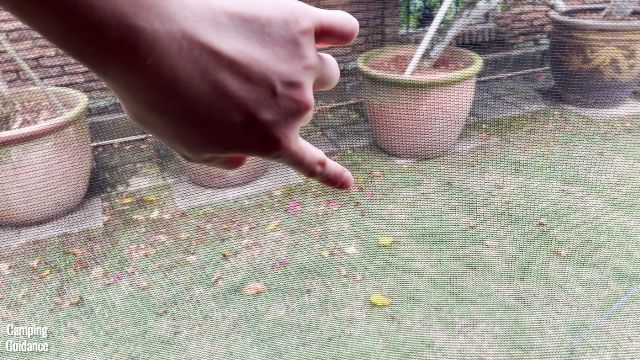 This is a picture of me pointing to the 2 small holes I found in the mesh of one of the windows of the Coleman 10-Person Instant Cabin Tent.