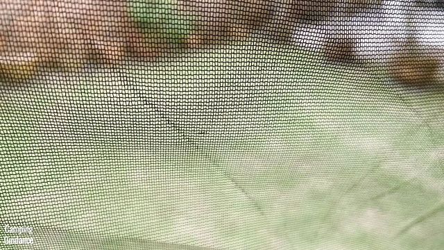 This is a picture of an ant crawling on the outside of one of my mesh panels of the Outdoor Products 10-Person Instant Cabin Tent.