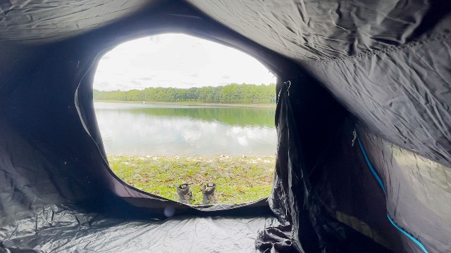 This is a picture of my Quechua 2 Seconds Fresh and Black Tent beside a quiet lake.