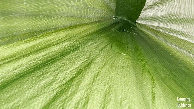 The corner of the Coleman Sundome Tent was not taped and let in a little tiny puddle of water.