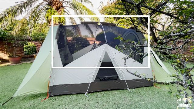 The mesh of the REI Wonderland 6 from the outside of the tent.