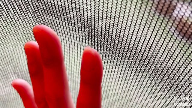 A close-up shot of the mesh in the Gazelle T4 Hub Tent