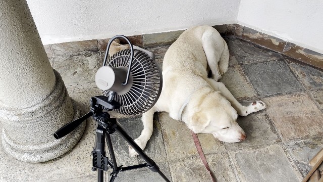 The Claymore Portable Fan V600+ on an external tripod