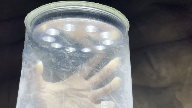 After 3 years of using the MPOWERD Luci Pro Outdoor lantern.