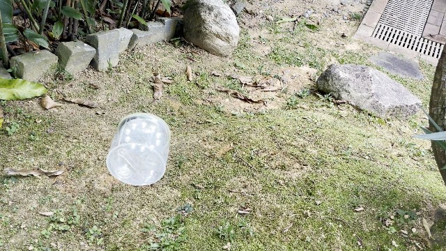 The author drop testing the MPOWERD Luci Pro Outdoor lantern.